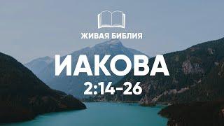 Живая Библия. Иакова 2:14-26 | Библия в видео формате