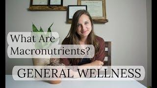 What Are Macronutrients? | General Wellness