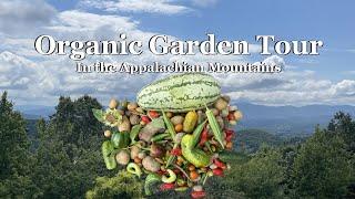 Organic Garden Tour in the Southern Appalachian Mountains