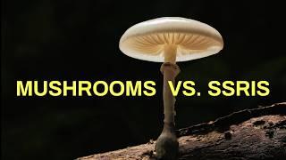 Are psychedelics as effective as SSRIs in treating depression?