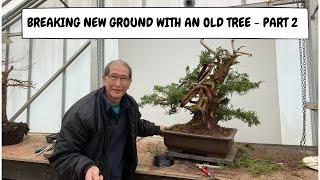 Breaking New Ground   San Jose Juniper Re Born   Part 2