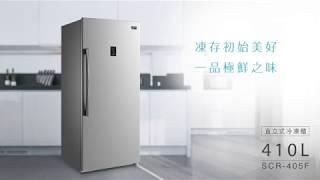 台灣三洋直立式無霜冷凍櫃
