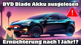 🫣 Tesla Model Y Grünheide with BYD Blade battery  What condition is the miracle battery in? Degr...