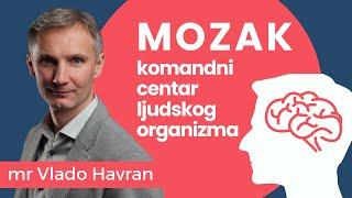 Mozak: najvažniji organ u ljudskom tijelu - mr Vlado Havran