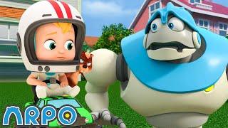 Baby Racer Daniel | ARPO| Educational Kids Videos | Moonbug Kids