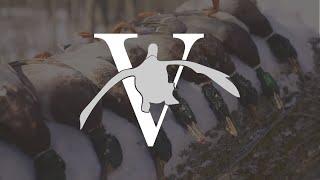 ARKANSAS DUCK HUNTING IN THE ICE | SUNNY SNOW DAY MALLARDS