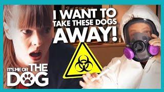 Victoria meets the 'Worst Dog Owner Ever' | It's Me or the Dog