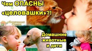 ๏̯͡๏ Домашние ЖИВОТНЫЕ и ДЕТИ - чем ОПАСНЫ "ЦЕЛОВАШКИ"?! Здоровье детей и взрослых./Любимые Дети