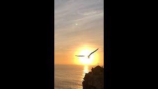  Heart Stopping Portugal  Nazaré Waves