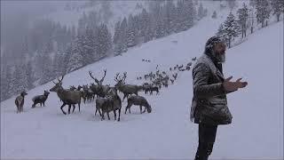 Wildes Bayern e V  bei der Wildtierfütterung mit Thomas Tscherne im Angertal