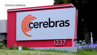 AI Needs More Power, Cerebras CEO Says