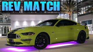 MASTERING REV MATCH DOWNSHIFTING: HOW TO BLIP THE THROTTLE #MUSTANG #SHORTS #MANUAL #5OH #V8