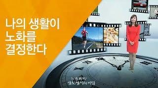 나의 생활이 노화를 결정한다 - (20121201_438회 방송)_웰에이징 1편 - 노화의 비밀