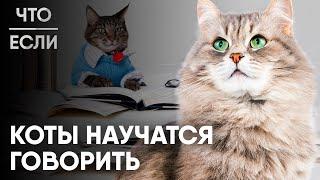 Что, если коты научатся говорить?