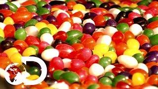 Jelly Beans | How It's Made