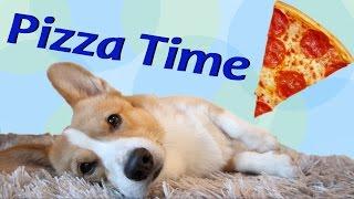 Pizza Time! - Topi the Corgi