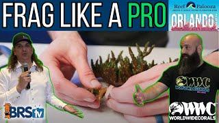 Learn How to Frag Corals Like a PRO!