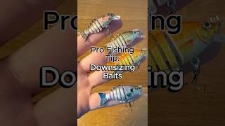 DOWNSIZE Baits to Catch More Fish #fishing #fishingtips #bassfishing