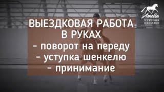 Выездковая работа в руках : поворот на переду, уступка шенкелю, принимание