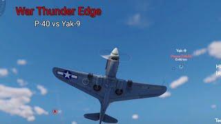 An actual, proper dogfight in War Thunder Edge