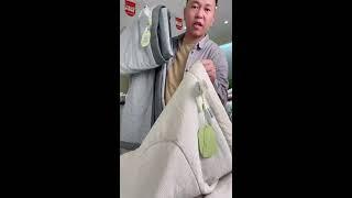 阿偉燕子旅行記