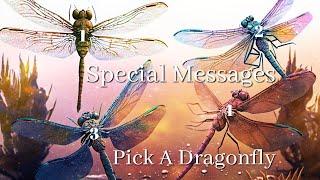 Special Messages | Pick A Dragonfly