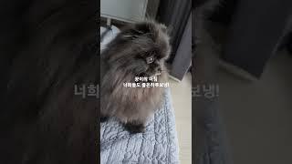 꿍이의 아침