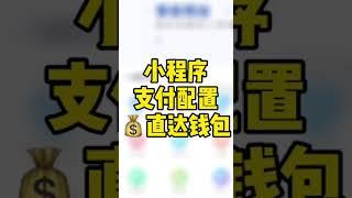 小程序支付设置，进入轻栈平台https://t.insarea.com/CiLYYR，不需要代收，商家开启微信支付通道，用户支付到自己碗里#小程序 #电商 #电商运营