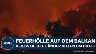 WALDBRAND-KATASTROPHE: Über 66 Brände in 24 Stunden auf dem Balkan! Länder bitten um Hilfe!