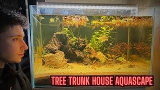 Community Tank Setup Gone Wrong? - Superfish Scaper 90 Setup