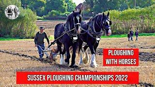 Ploughing with horses at the Sussex Ploughing Championships - #farming #ploughing