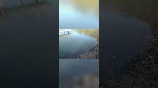Проект, сделанный за 3 дня #красота #отдых #эдит #отдыхать #вечер #баня #дом #осень
