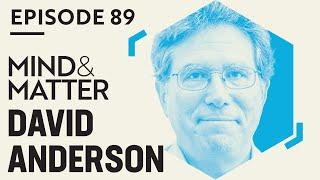 Neuroscience of Aggression, Sex, Behavior, Hormones, Emotion & Consciousness | David Anderson | #89