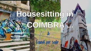 Lovely Land For Sale + Housesit Tips PLUS Coimbra Backstreet Tour