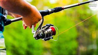 Best Saltwater Reels 2024 - Top 5 Best Saltwater Spinning Reels Review