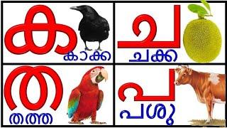 Learn Malayalam Consonants(വ്യഞ്ജനം, vyañjanam)|Malayalam Alphabet Malayalam Aksharamala|ക ഖ ഗ ഘ ങ