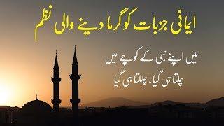 Urdu Nazam with Lyrics | Main Apne Nabi ke | Very Emotional Nasheed | Hayat Hamd o Naat