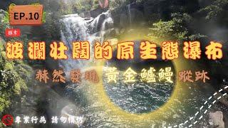 【4K】十分鐘帶你領略潛藏原生態瀑布，探索 #黃金鱸鰻 的蹤跡，自然的奧祕美，需要你我共同維護並扎根。#台灣 #高山 #瀑布 #鱸鰻 #秘境 #空拍  #釣魚  #潛水 #野營  #iphone15