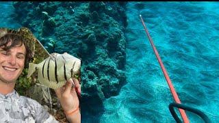 SPEARFISHING in HAWAII - 3 Prong CATCH N COOK - Ep 35