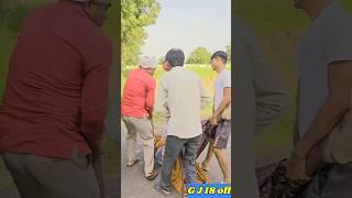 ડોસી ને થયો લખવો //dosine thayo lakhvo //#comedy #viralshorts /#funny /#G J 18 official #funnyreel