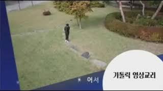 CPBC 가톨릭평화방송 NEXT - 가톨릭 영상교리