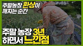 주말 농장 꿈을 갖고 계신 분들 이 영상 꼭 보세요! (주말농장, 주말농장 초보, 주말농장 텃밭)