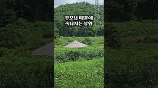 부모님 농사짓으면 속터지는 상황 #노란용 #시골생활 #폭염 #농사 #CapCut