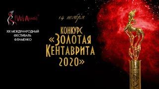 Прямая трансляция XIX Международного фестиваля фламенко ¡Viva España¡ 2020