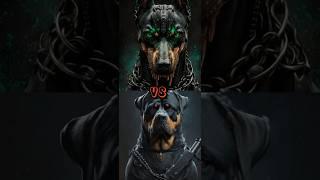 PITBULL VS ROTTWEILER, GERMAN SHEPHERD, DOBERMAN PINCHER,CANE CORSO, (PRICE COMPARISON)