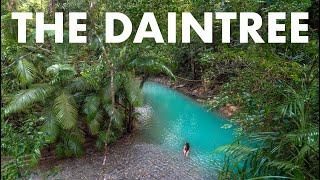 48 HOURS IN THE WORLD'S OLDEST RAINFOREST