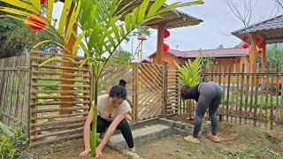 Farm Life : Smart Farming - Intercropping Cassava with Fruit Trees & Growing Betel Nut Palms