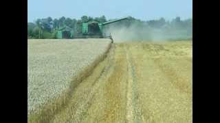 Agrofamily KFT 2011
