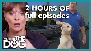 2 HOURS of the Best Full Episodes in 2024 | It's Me or The Dog