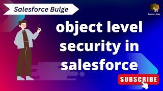 object level security in salesforce | salesforce bulge | learn salesforce for beginner